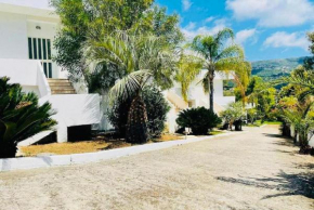 Il Giardino Apartments
